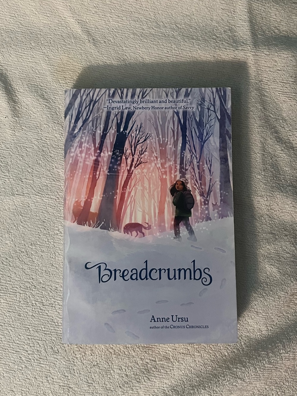 Breadcrumbs by Anne Ursu
